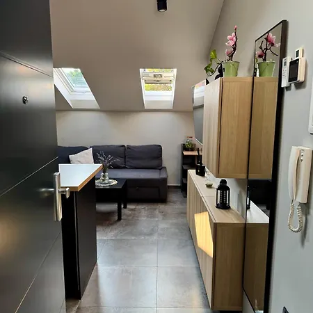 Apartament Ami & Private Parking