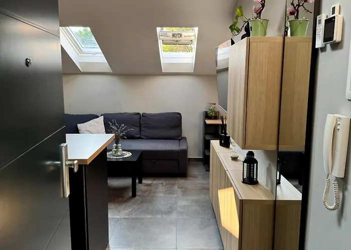 Apartament Ami & Private Parking